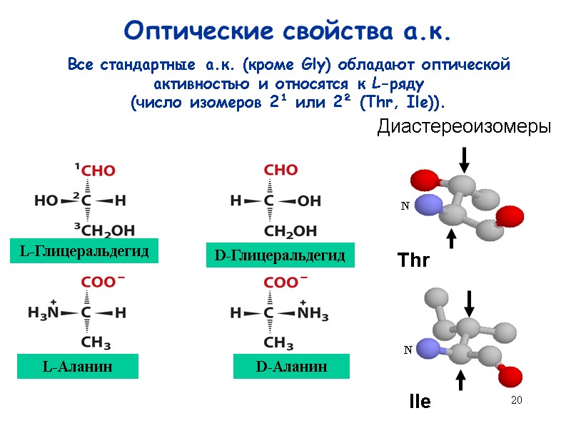 20 Оптические свойства а.к. D-Глицеральдегид Все стандартные а.к. (кроме Gly) обладают оптической активностью и